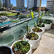 Glass Balustrades